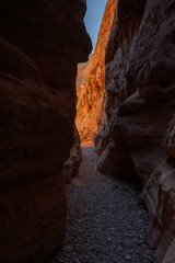 Trail Cuts through Slot Canyon in Nevada
