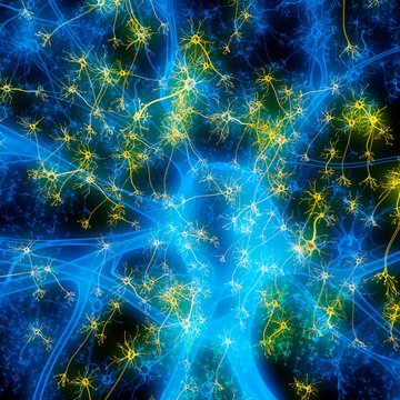 Neuron, illustration