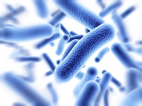 Bacteria, artwork
