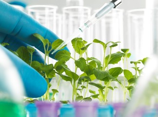 Plant Biotechnology