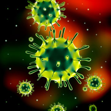 Influenza virus (H1N1), illustration