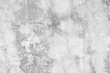 Fototapeta premium Texture of Grey concrete wall, background