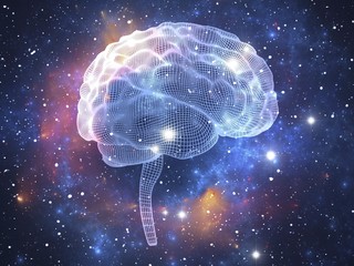 Human brain, illustration