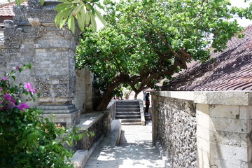stairs in the garden