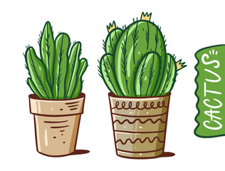 Two cactus in pots. Cartoon style vector illustration. Isolated on white background.