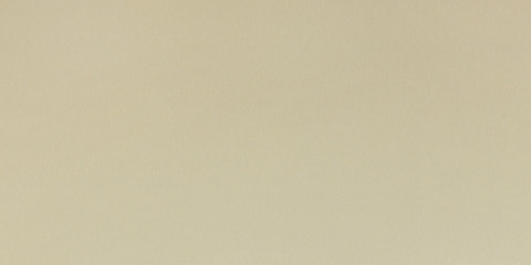 Wood texture background surface old natural pattern