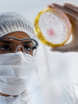 Microbiology