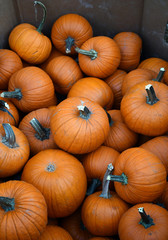 Posted stacked on top of each other