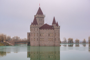 Medieval castle in the middle of the pond