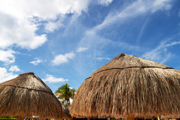 Coconut Palm Leaf Beach Umbrella With Blue Sky and Copy Space