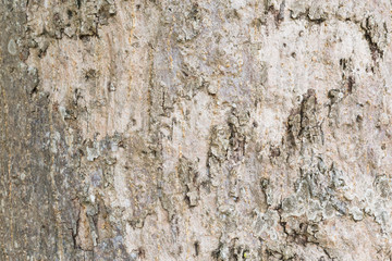 old wall texture