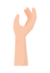 hand gesture support on white background