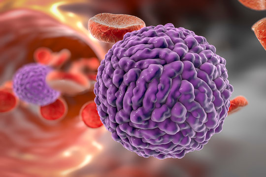 Zika virus in blood, illustration