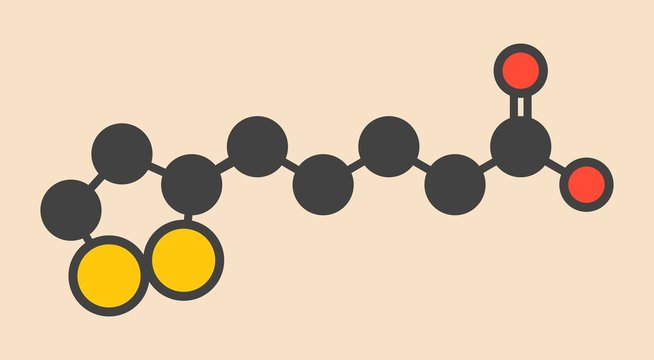 Lipoic acid enzyme cofactor molecule