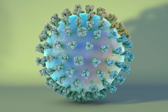 Swine flu virus H1N1, illustration