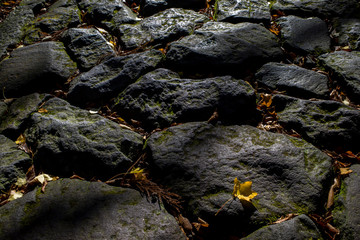 美しい石畳のクローズアップ（大山隠岐国立公園）