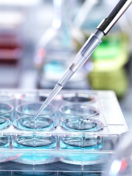 Chemical research