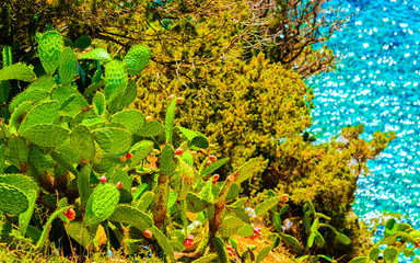 Beautiful nature of Villasimius and with Blue Waters of the Mediterranean Sea on Sardinia Island in...