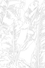 Drawing a lot of black colour dots are arranged of seamless pattern banana leaves and banana trees that it is a tropical plant on white colour background, flat line vector and illustration.