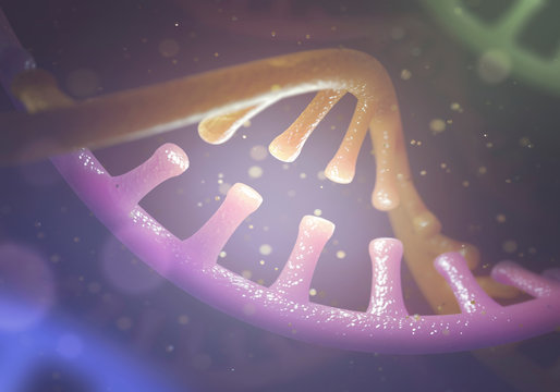 DNA molecule, illustration