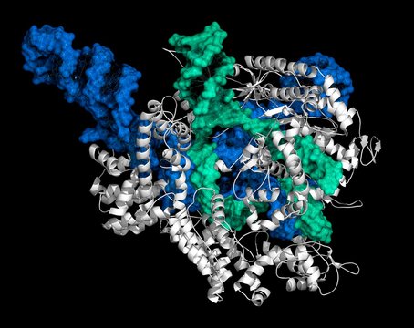 CRISPR-CAS9 gene editing, illustration