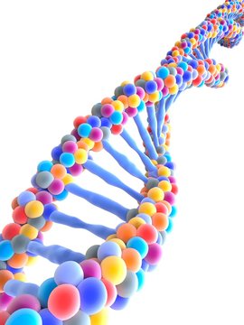 DNA molecule, illustration