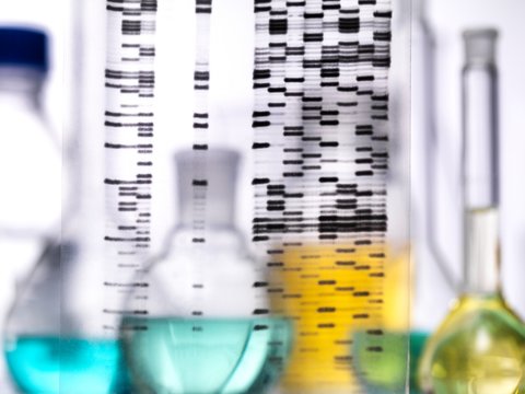 Genetics research