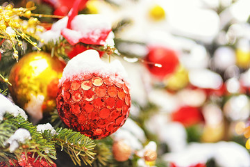 Christmas tree decorations - red ball on the tree against the background of New Year's lights and...
