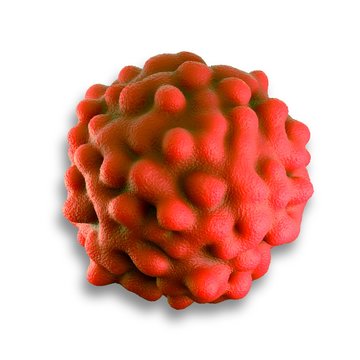 Rectal cancer cell