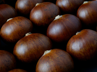 Chestnuts are grown as economic crops for selling seeds
