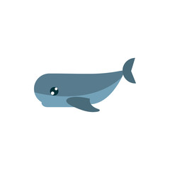 marine life, whale cartoon sea fauna animal