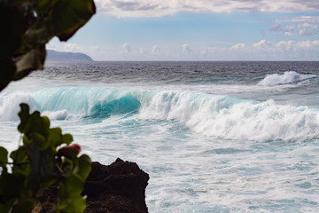 Waves crashing over in the blue ocean with green leaves in the foreground 