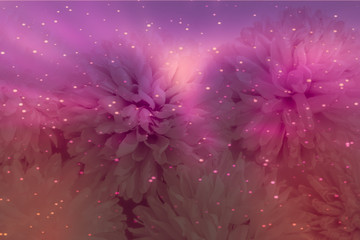 Beautiful abstract color purple and pink flowers on lightning background and orange flower frame and pink leaves texture, colorful background, colorful banner happy valentine