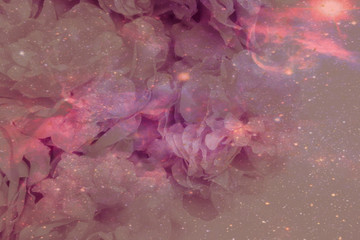 Beautiful abstract color purple and pink flowers on lightning background and orange flower frame...