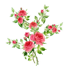 Flower watercolor composition with rose buds and leaves