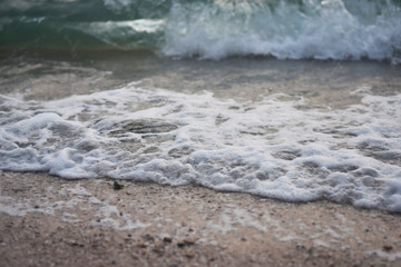 waves on the beach