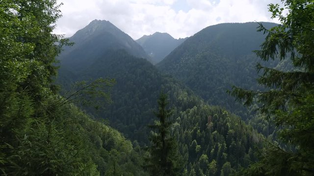 4K Carpathian Mountains Romania Transfagarasan Highway Drone Footage Trees