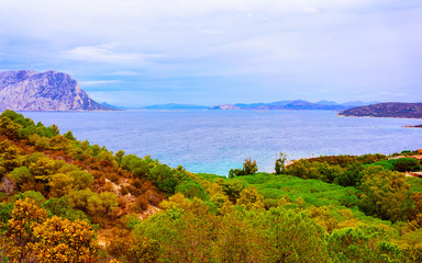 Naklejka premium Landscape of Capo Coda Cavallo seen from San Teodoro in the Mediterranean sea in Olbia-Tempio province, Sardinia island, Italy in summer. Scenery at Tavolara Island. Mixed media.
