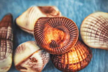 chocolates in the shape of seashells.