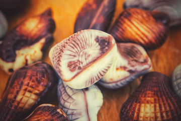 chocolates in the shape of seashells.