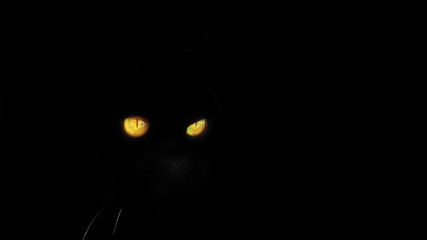 black cat with yellow eyes on a black background.