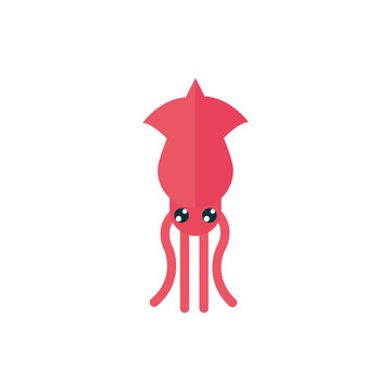 marine life, squid cartoon sea fauna animal