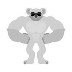 Koala Strong Cool serious. Beast strict. Vector illustration