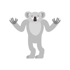 Koala confused. koala bear perplexed. Beast surprise. Vector illustration