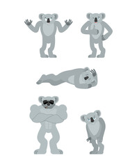 Koala set poses. koala bear happy. Pet sleeping and angry. guilty and sad. Vector illustration