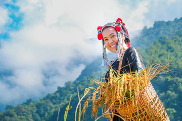 A beautiful farmer girl with straw in rice fields in northern Thailand. - obrazy, fototapety, plakaty