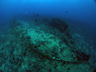 Scuba Diving Red Sea Egypt