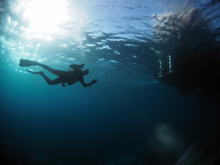 Scuba Diving Red Sea Egypt