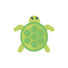 marine life, cute turtle cartoon sea fauna animal