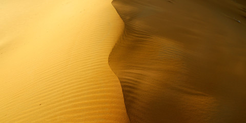 sand dune in the sahara desert in morocco